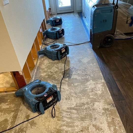 Image of water damage cleanup in progress