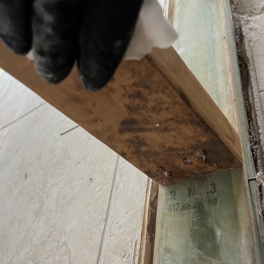 Image of mold damage inside of a home