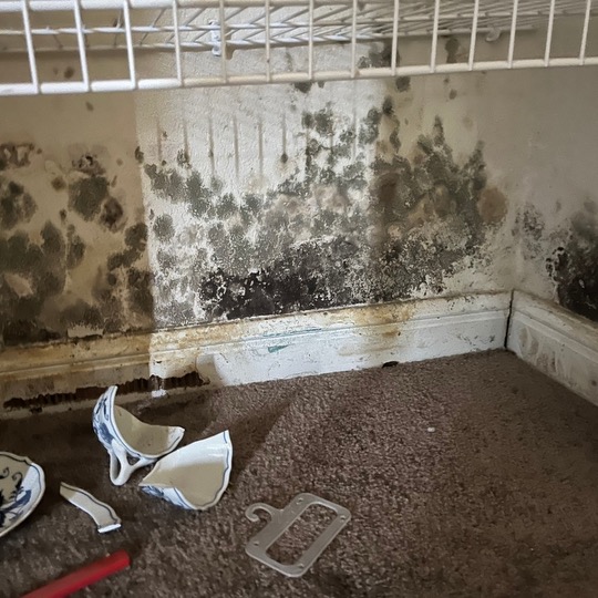 Image of mold damage inside of a home