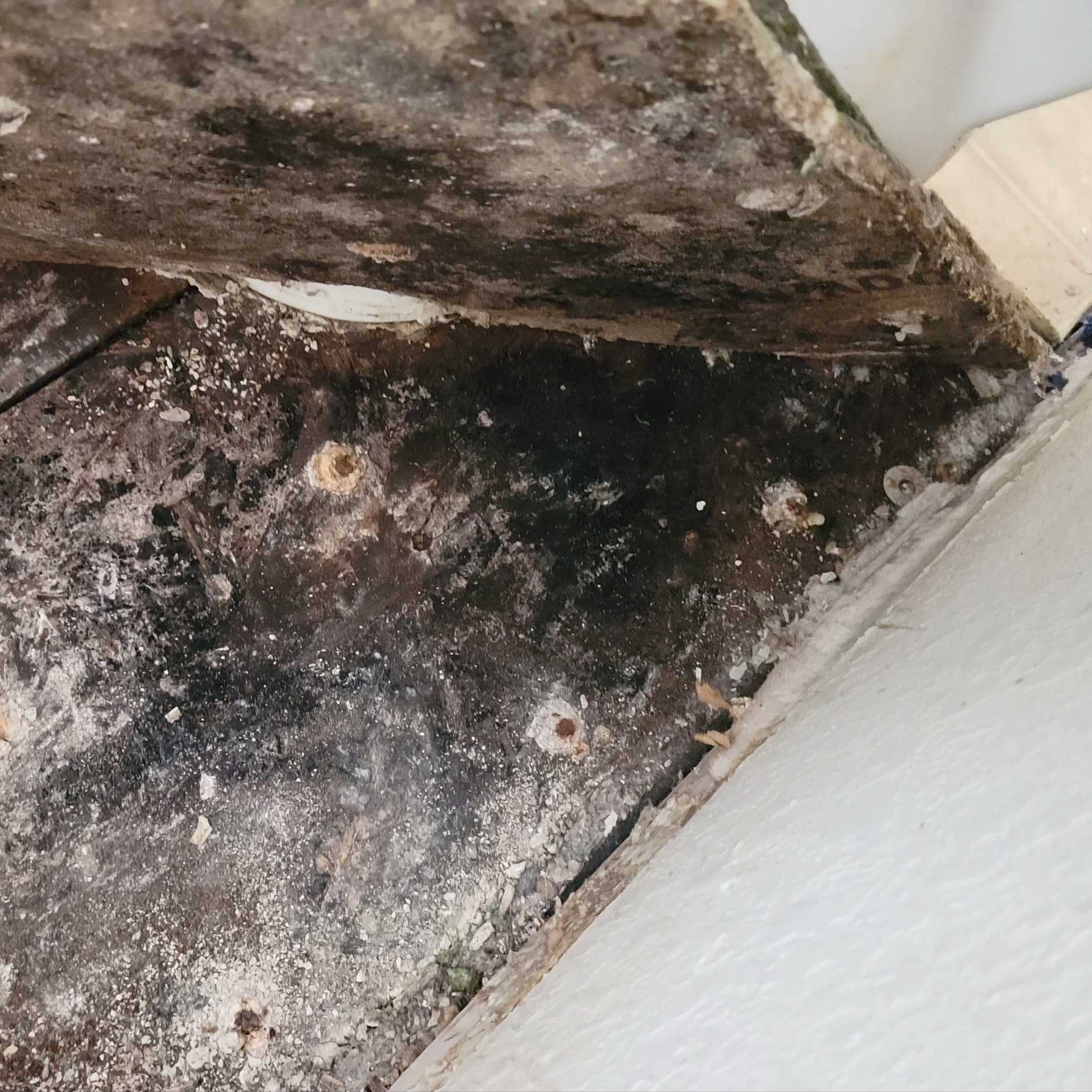 Image of mold damage inside of a home