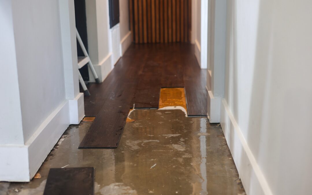 Water Damage Restoration