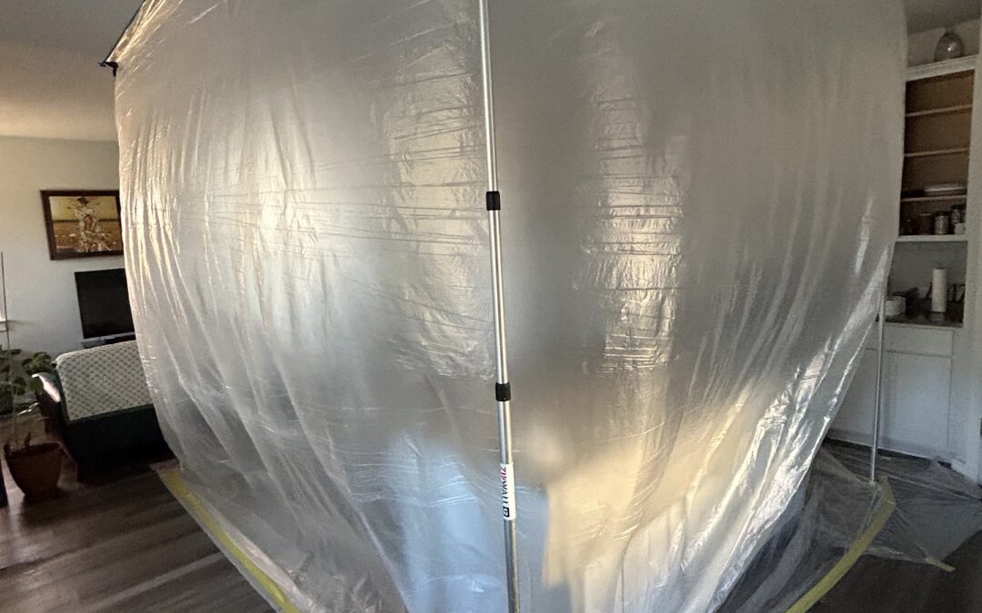 Mold Remediation