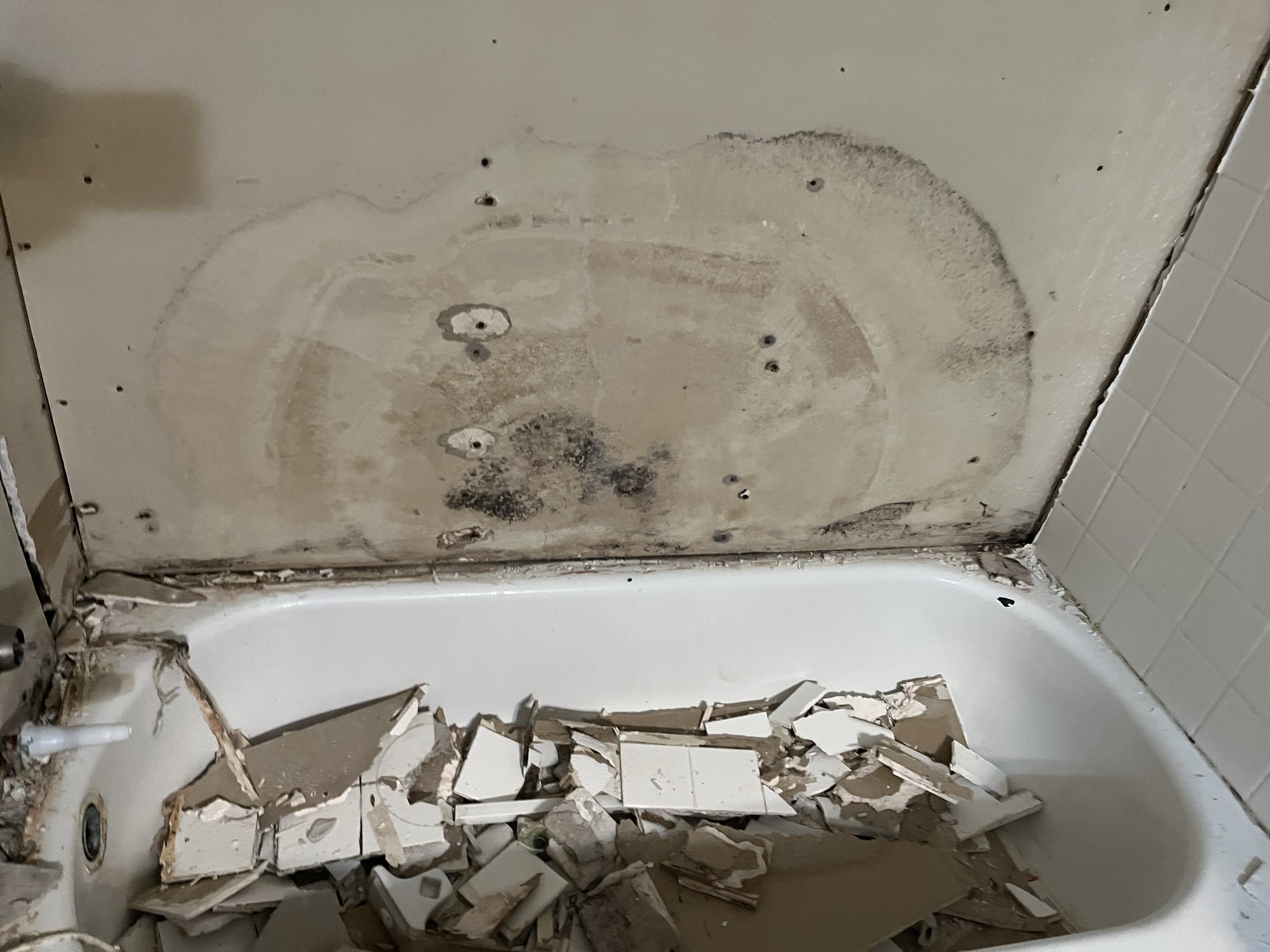 demolition of a tub and shower wall as part of a mold remediation project